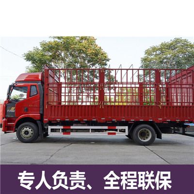 惠州到分宜縣貨運公司